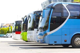 Unsere Busse sind für Sie im Einsatz